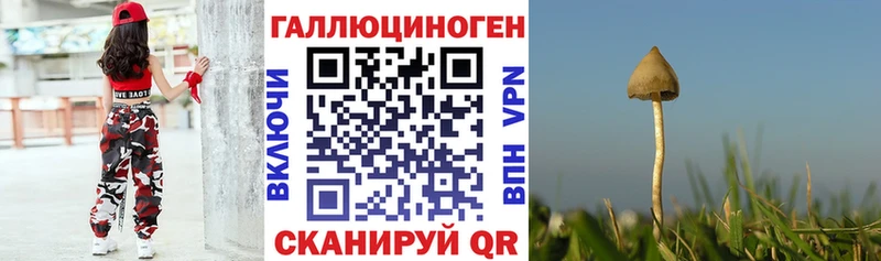 Псилоцибиновые грибы прущие грибы  Купить где  Полярный 